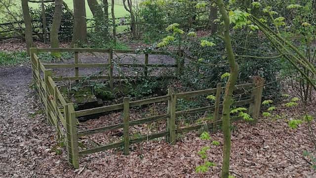 Roman Well - Historic Site in wath upon dearne