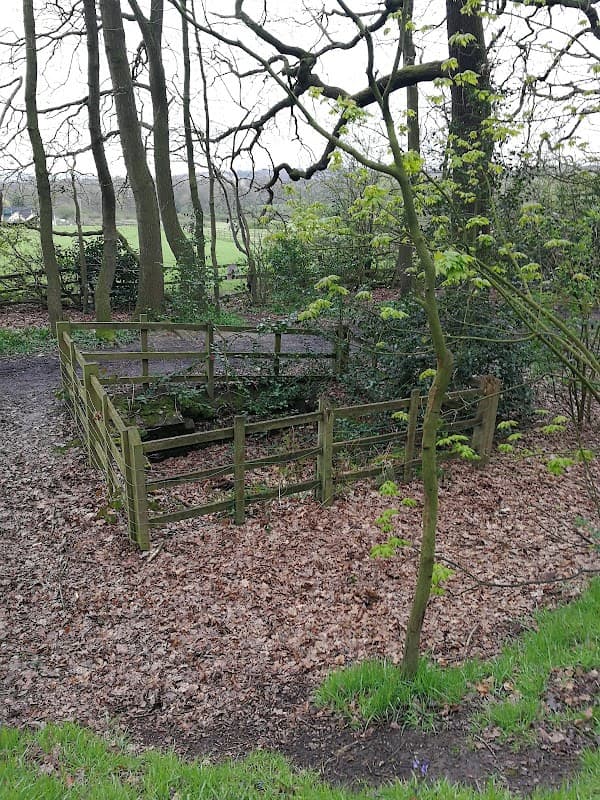 Roman Well