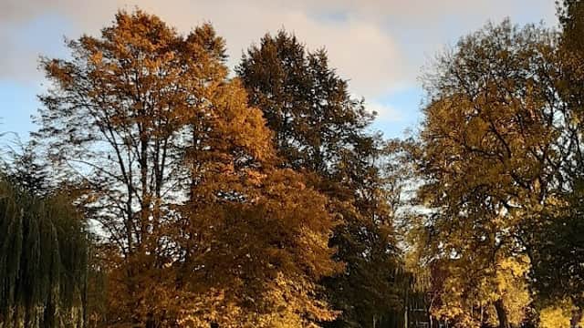 Valley Gardens - Attraction in castleford