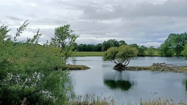 Marfield Wetlands - Nature Reserves in masham