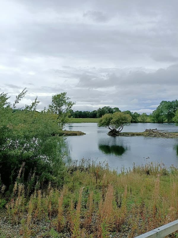 Marfield Wetlands