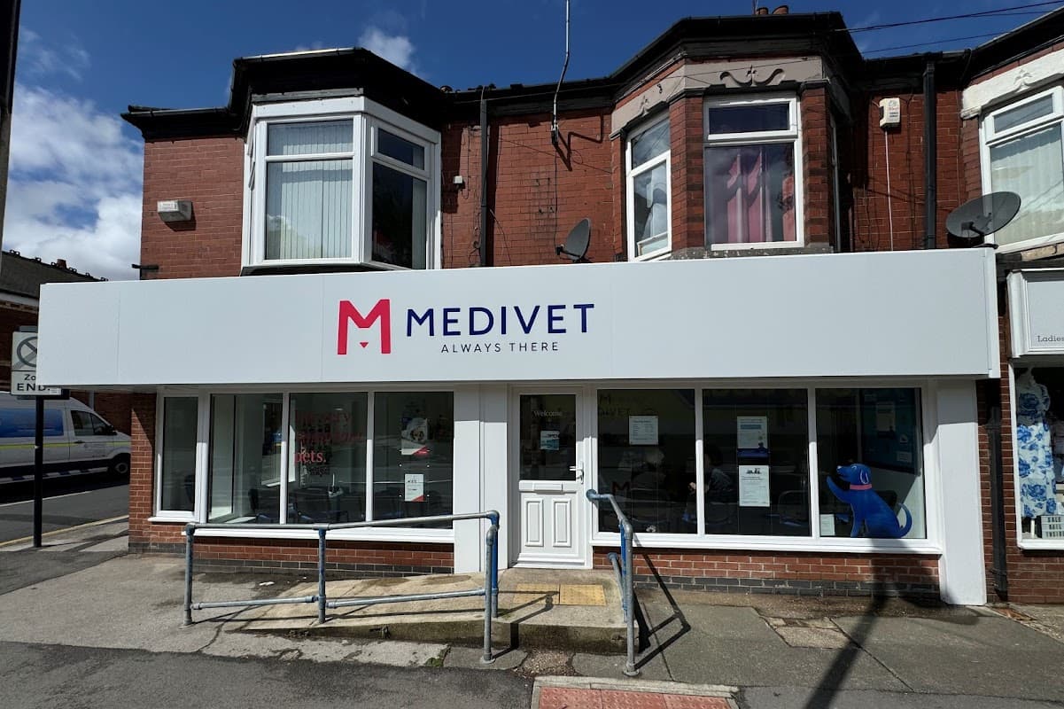 Medivet Hull the Avenues - Chants Vets