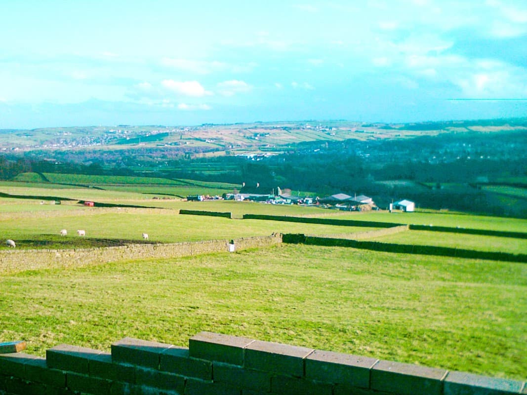 Lees Moor Cattery