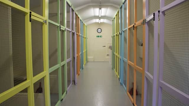 Howgrave Lodge Cattery - Vets in sutton howgrave