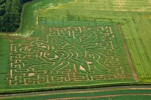 Beverley Maze