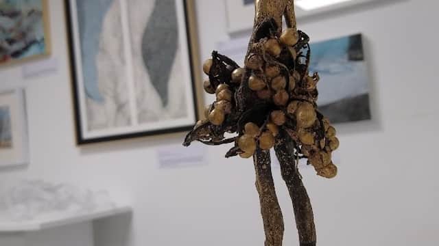 Fronteer Gallery - Gallery in sheffield