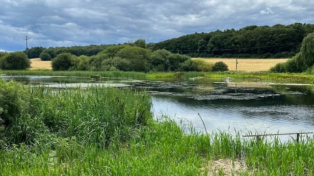 Sprotbrough Flash - Nature Reserves in doncaster