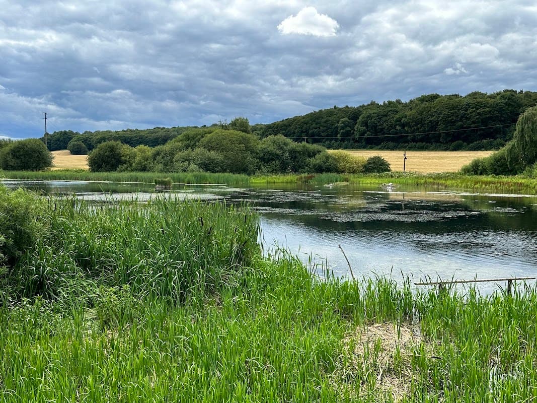 Sprotbrough Flash