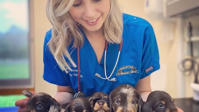 Bishopton Veterinary Group - Vets in ripon