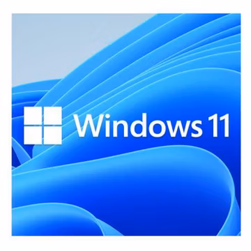 Microsoft Windows 11 Pro Edition 64-bit OEM DVD packaging featuring a blue abstract design with the Windows logo and "Windows 11" prominently displayed in white text.