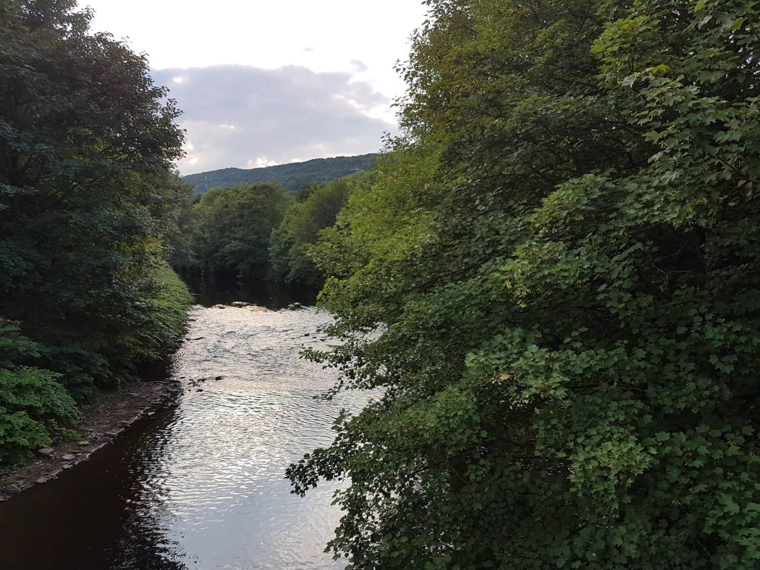Brookfoot