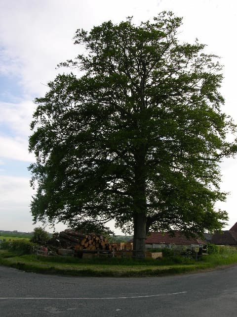 Eddlethorpe