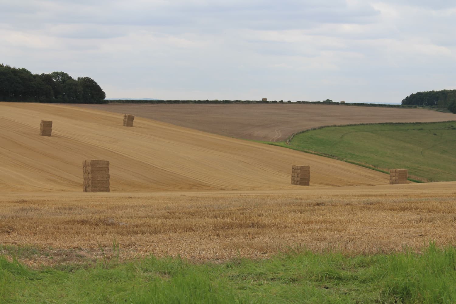 Everingham