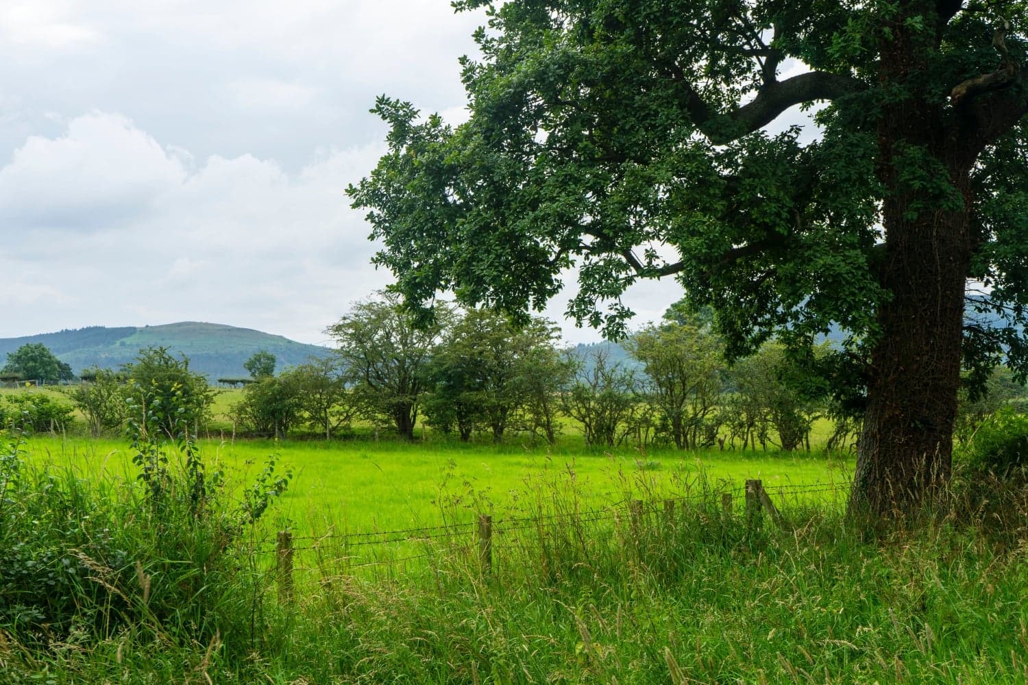 Ingleby Greenhow