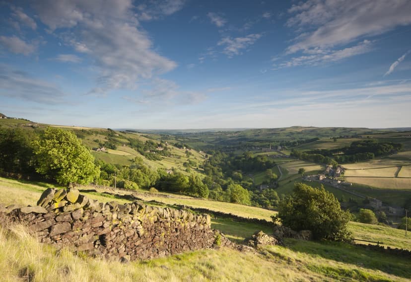 Millhouse green, Yorkshire