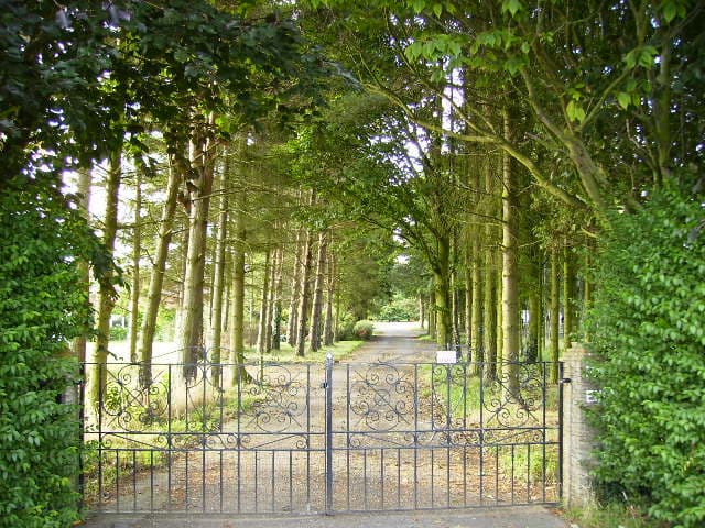 Nawton