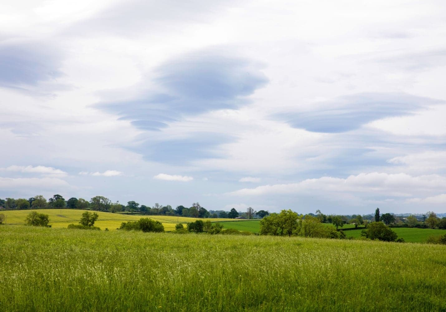 Newsham, Richmondshire