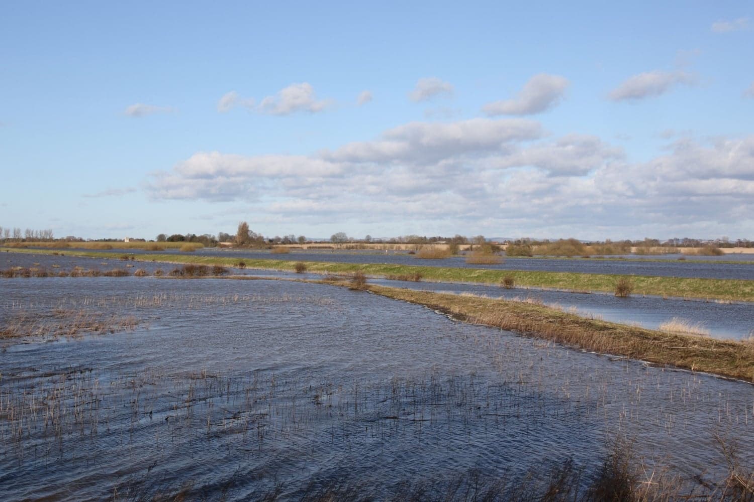 North Duffield