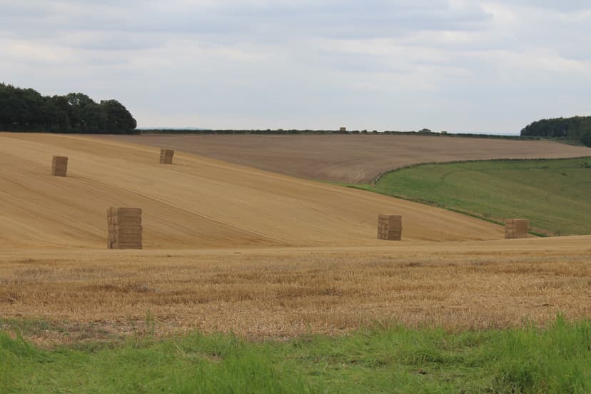 North Newbald, Yorkshire