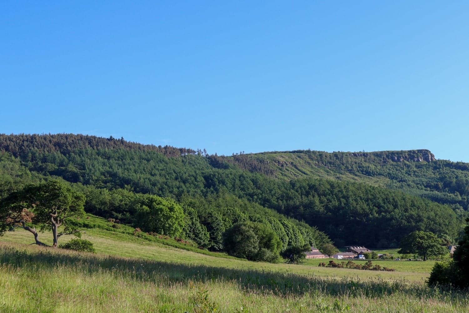 Pinchinthorpe