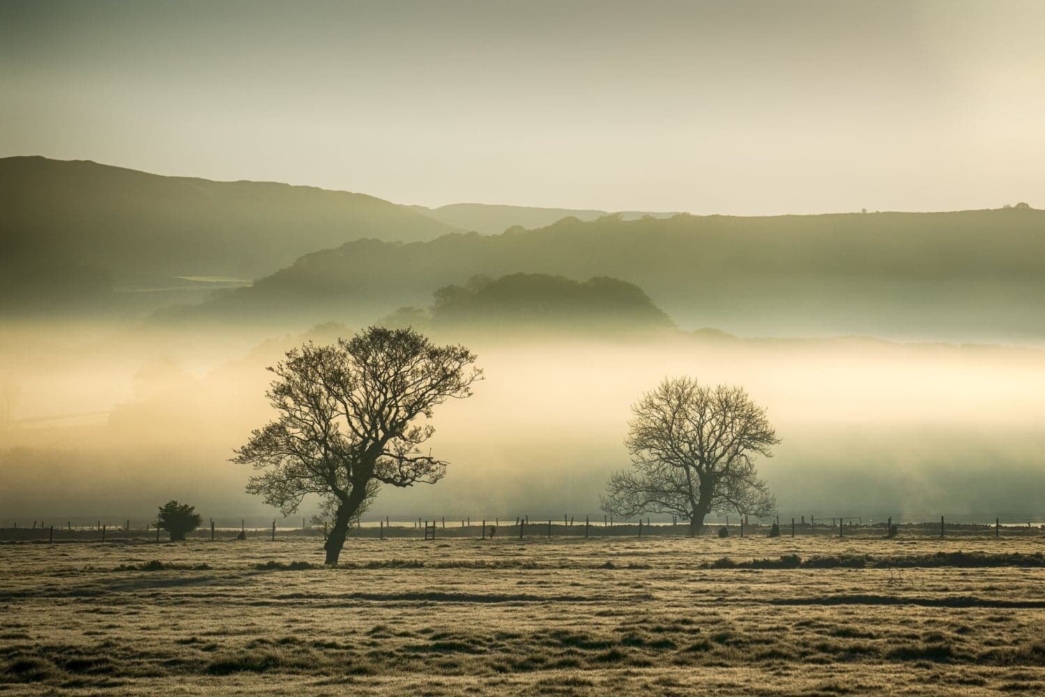 Rathmell