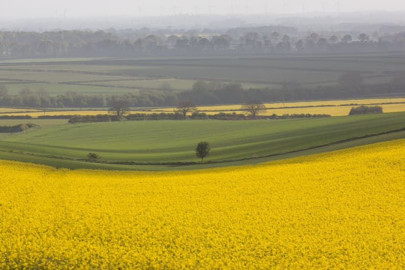 Sancton, Yorkshire