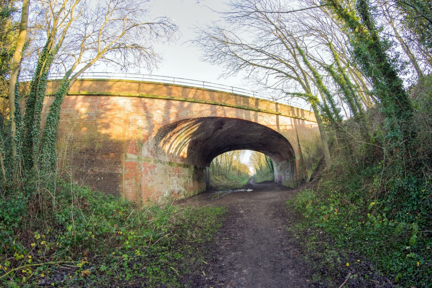 Scorborough
