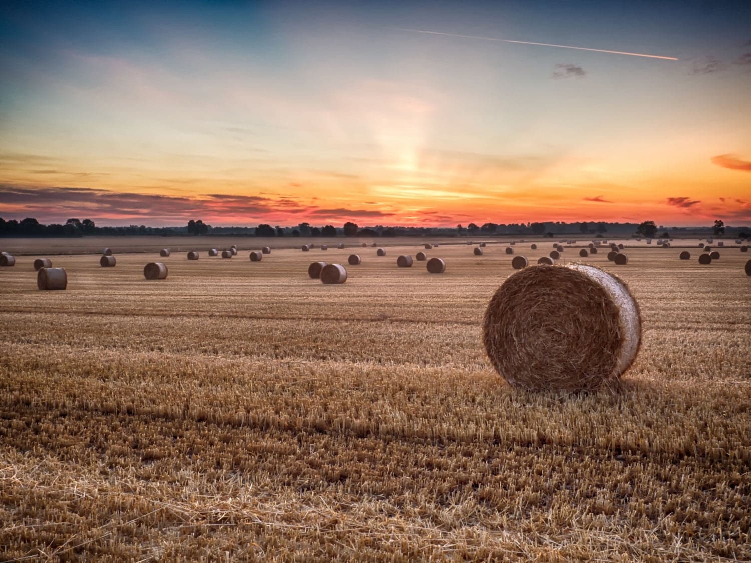 Sherburn in Elmet