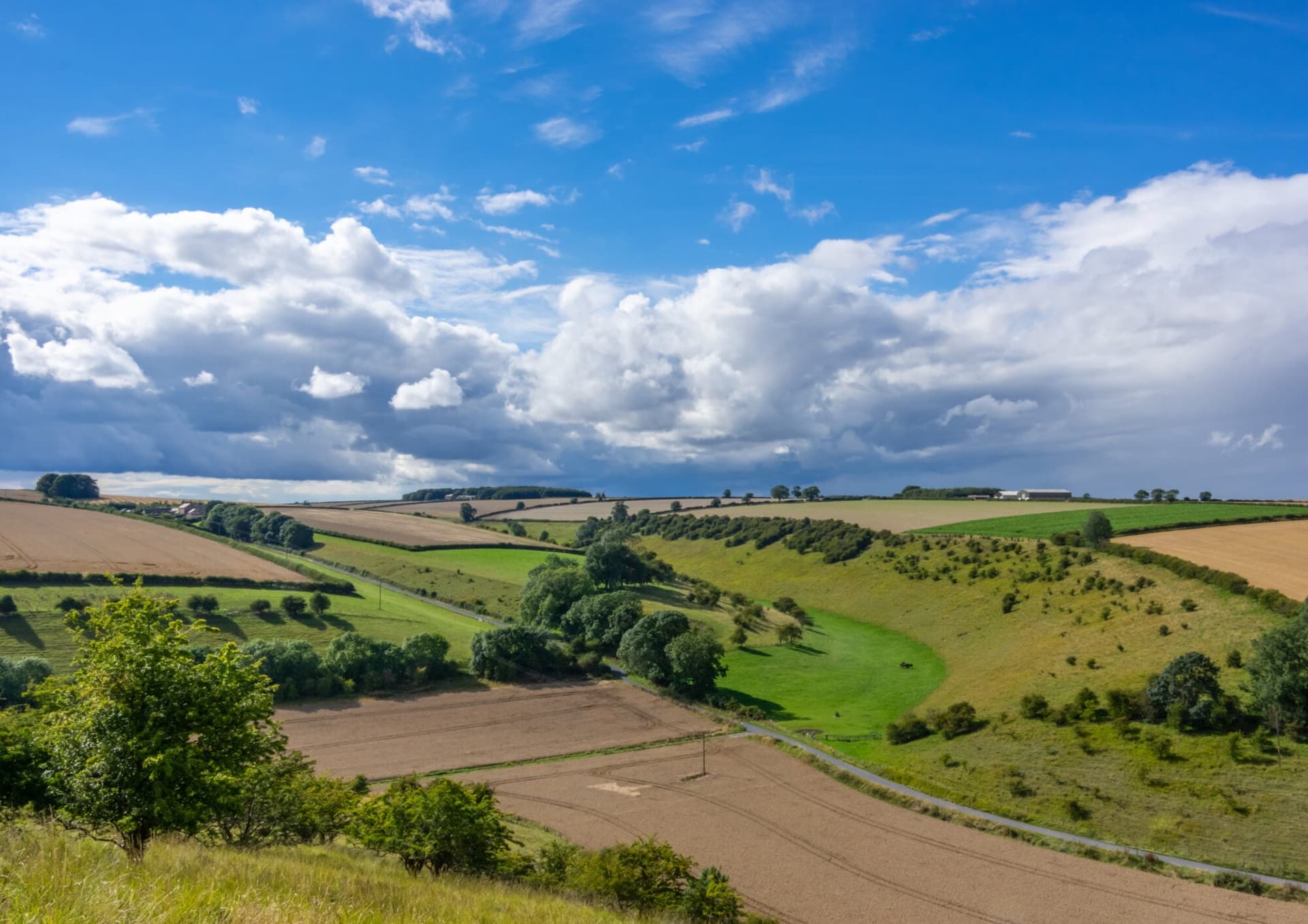 Thixendale