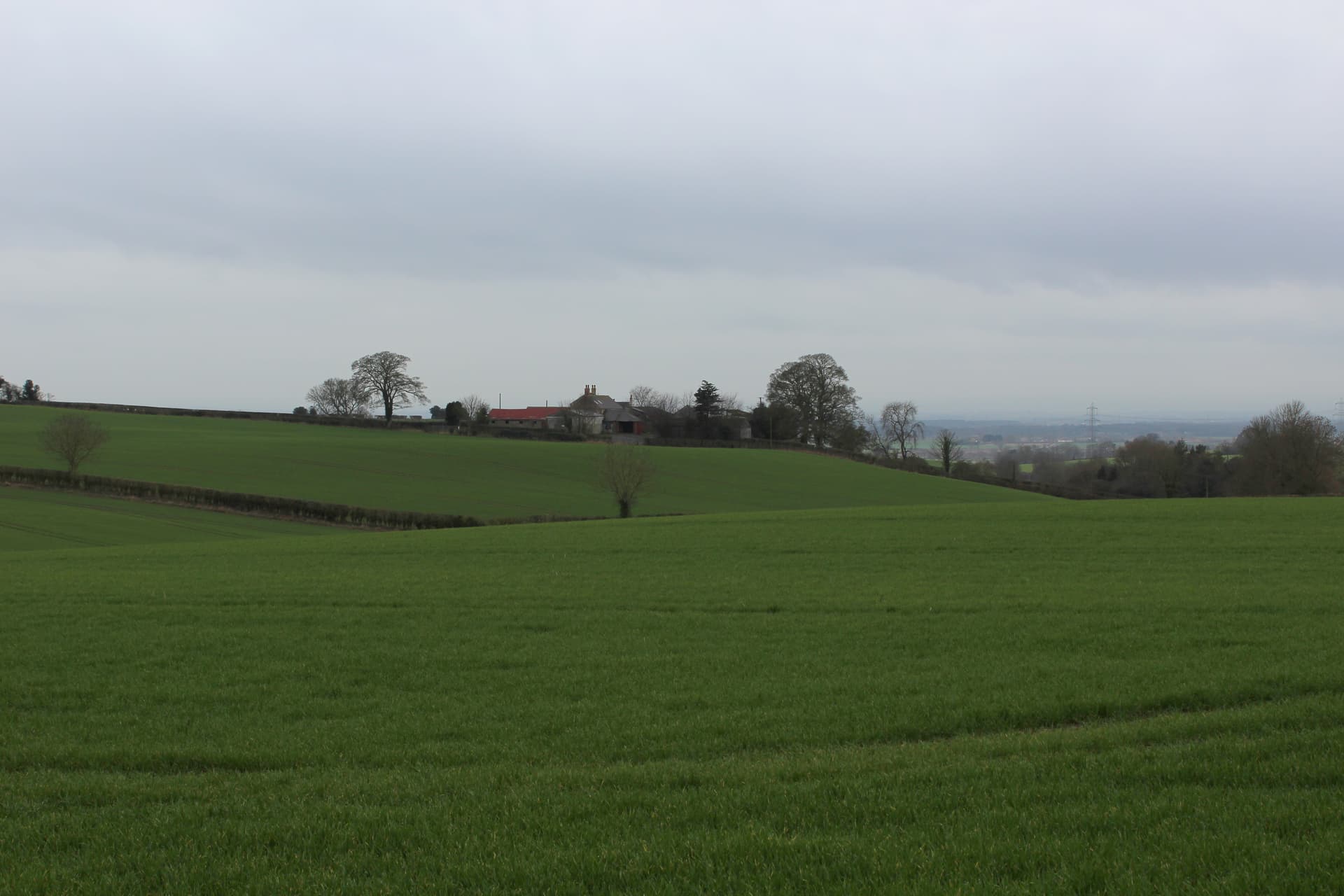 Thornton-on-the-Hill