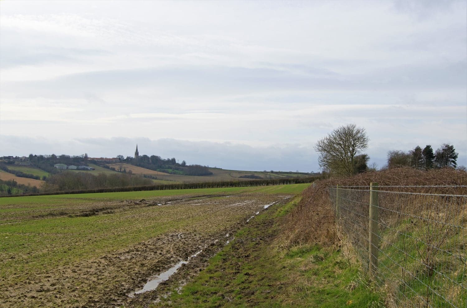 Thurcroft