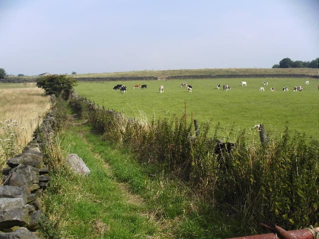 West Morton