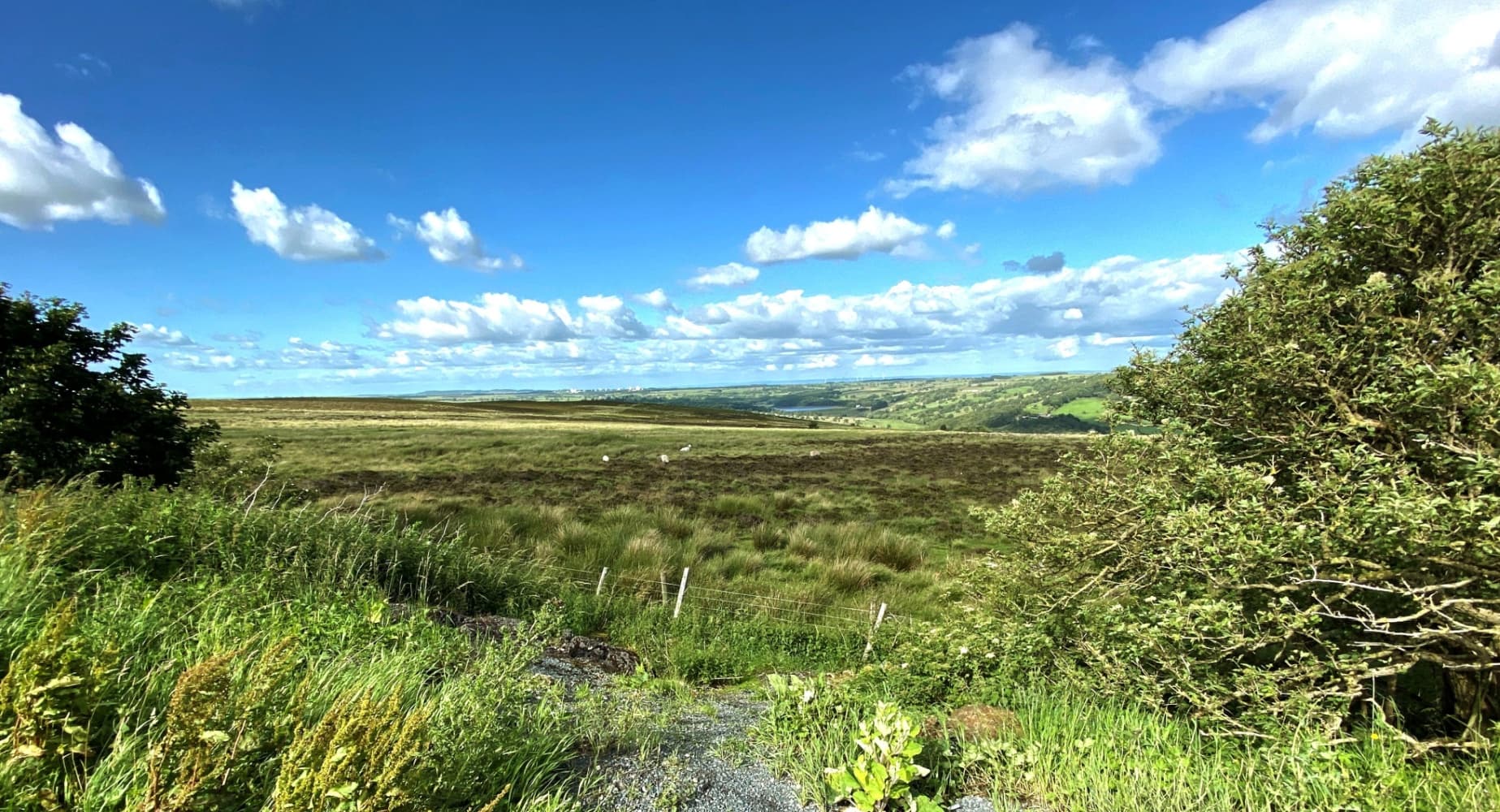 Weston, North Yorkshire