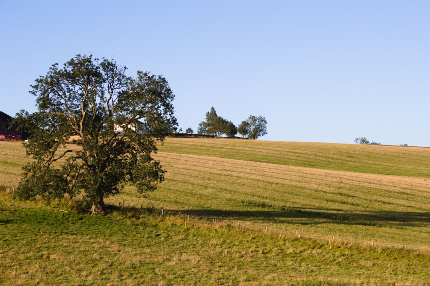 Wold Newton