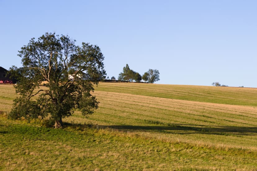 Wold Newton, Yorkshire