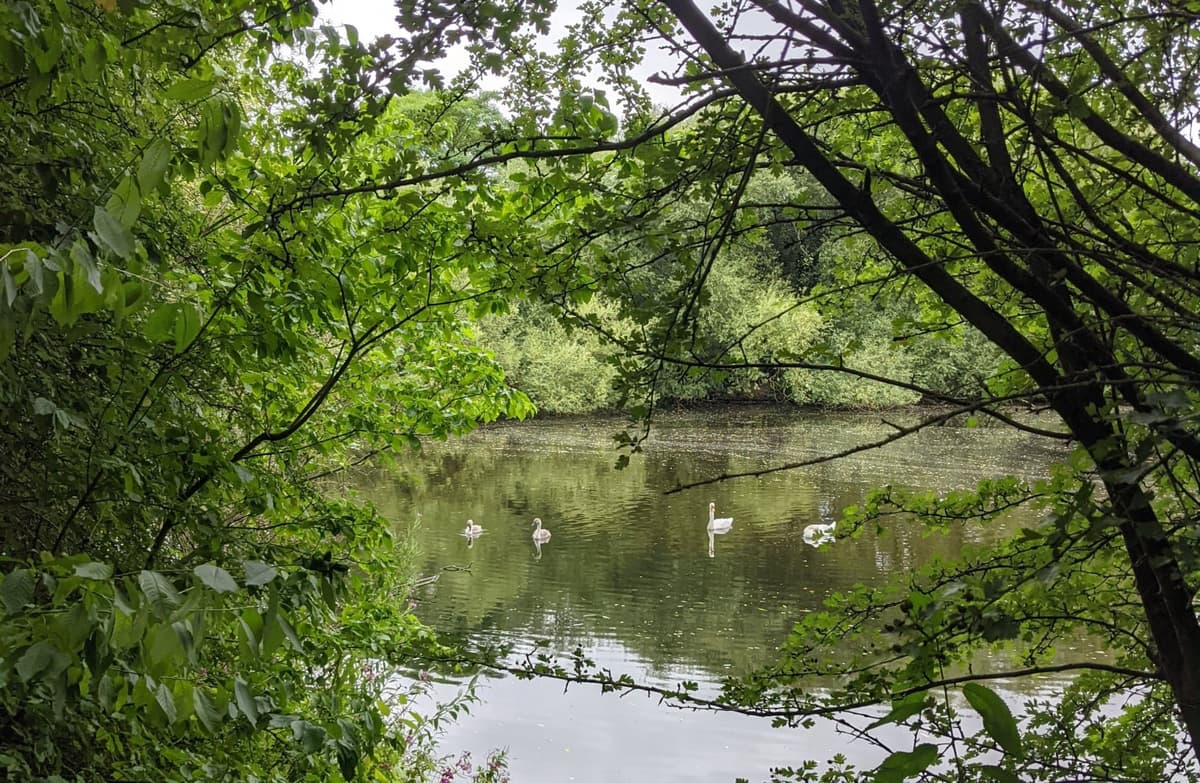 S73 Postcode Visit Wombwell: The Definitive Town Guide to Things to Do, Stay & Eat
