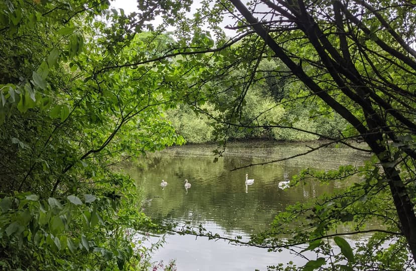 Wombwell, Yorkshire