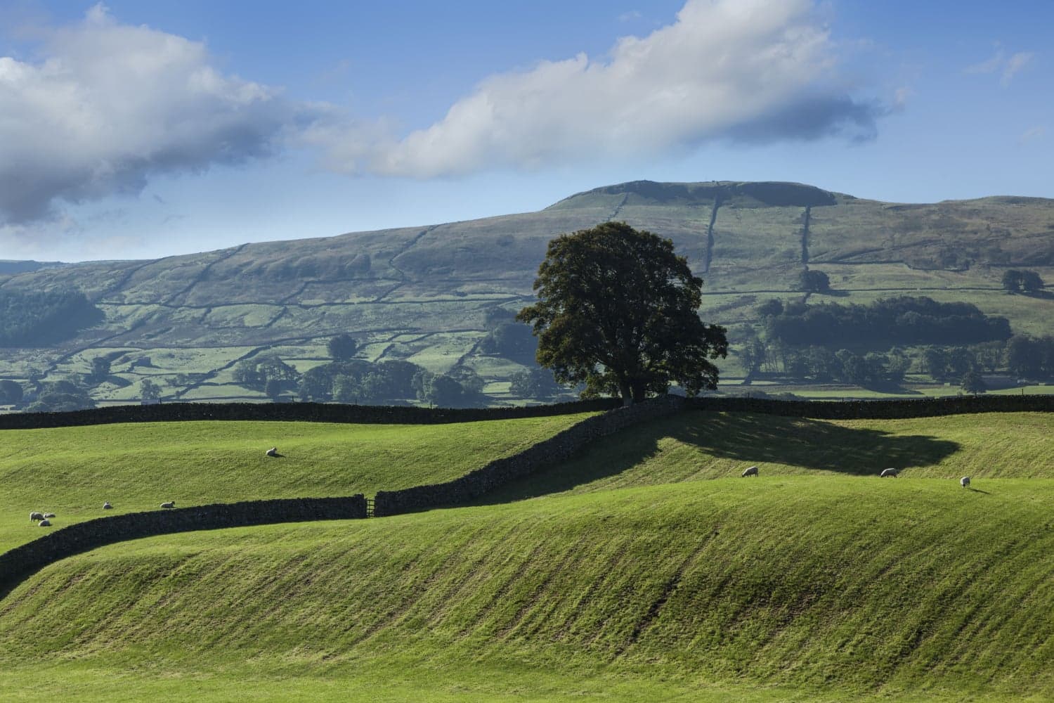 Walk: Wensleydale Highway