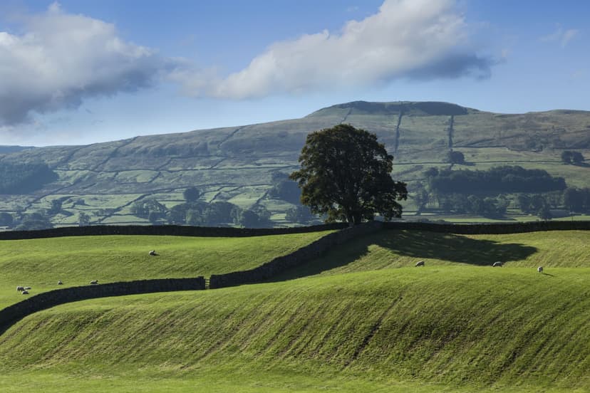Walk: Wensleydale Highway