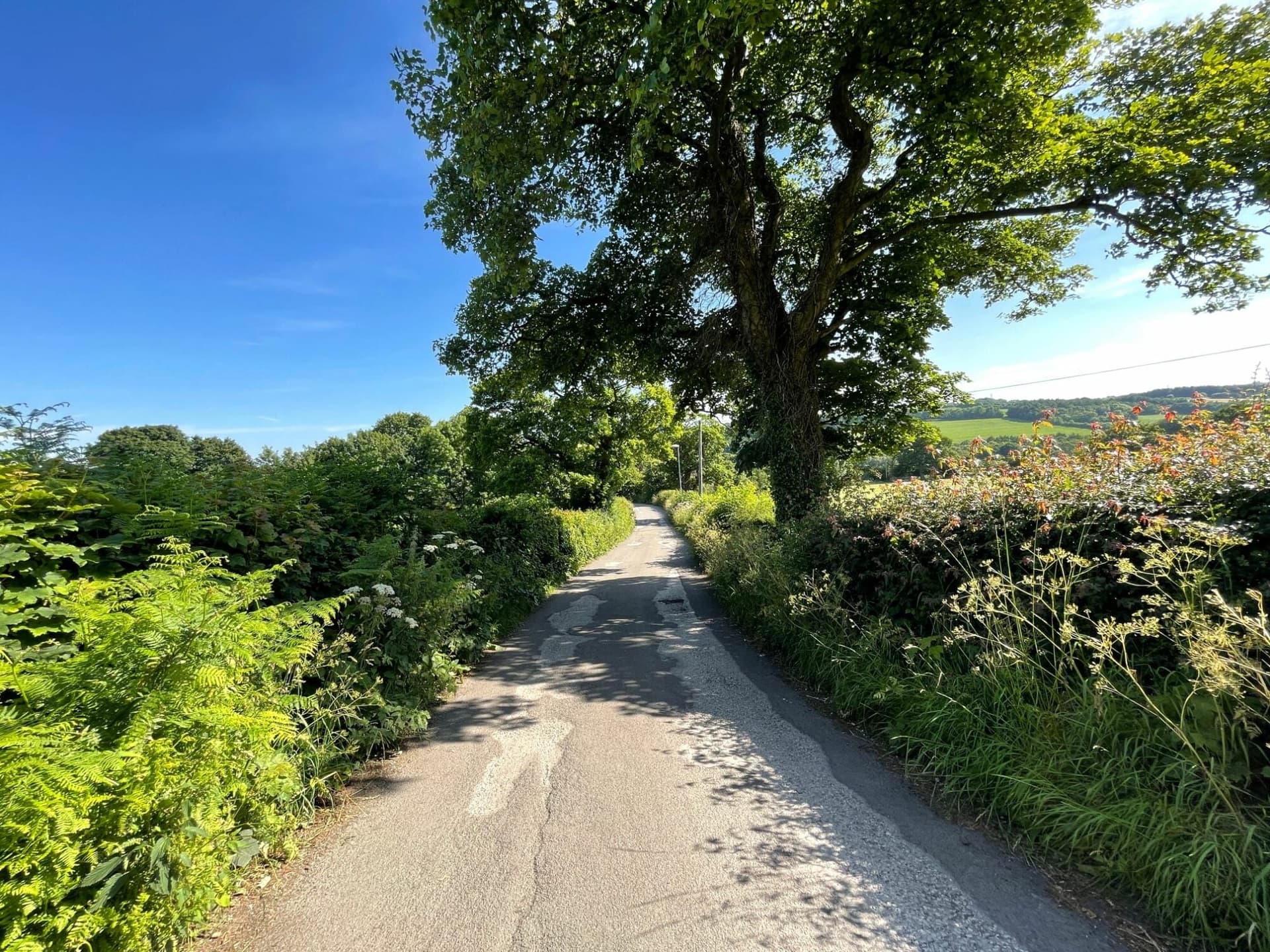 Walk: Pudsey Circular