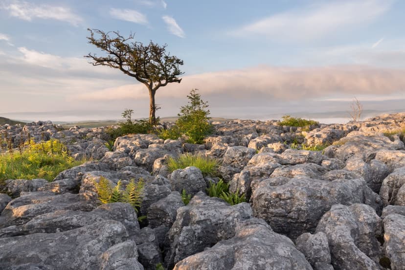 Walk: Kettlewell and Conistone