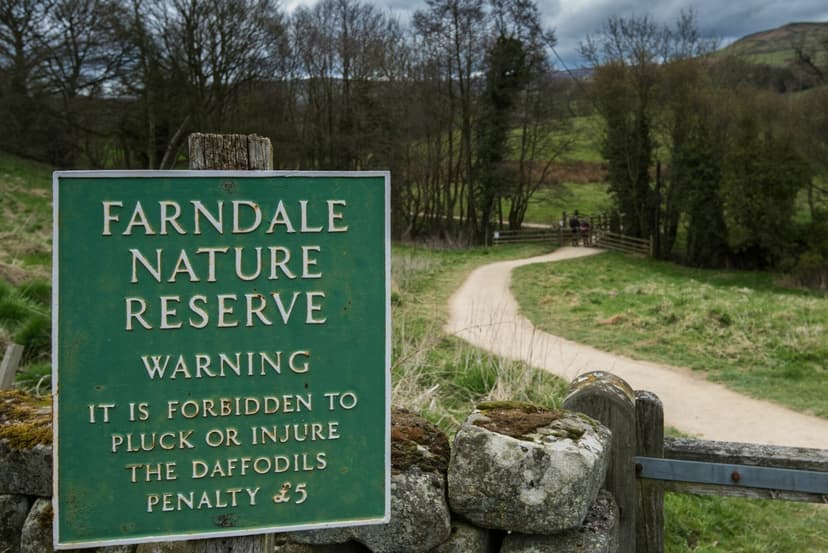 Walk: Farndale