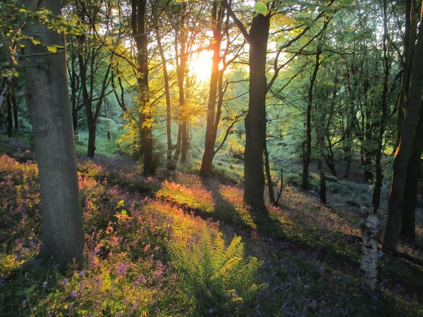 Walk: Selby Horseshoe