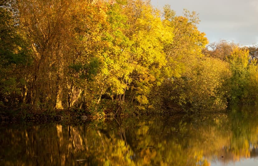Walk: Sandall Park