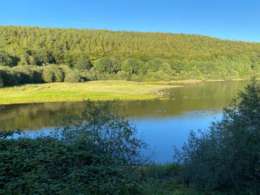 Lindley Wood Reservoir Circular Walk