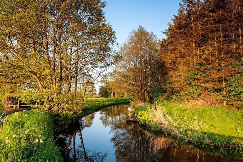 Walk: Pickering and Ings Bridge