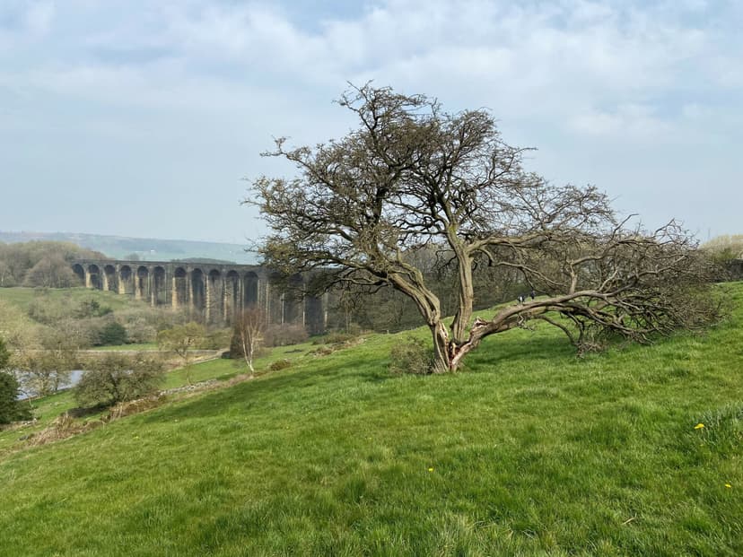 Walk: Great Northern Railway Trail