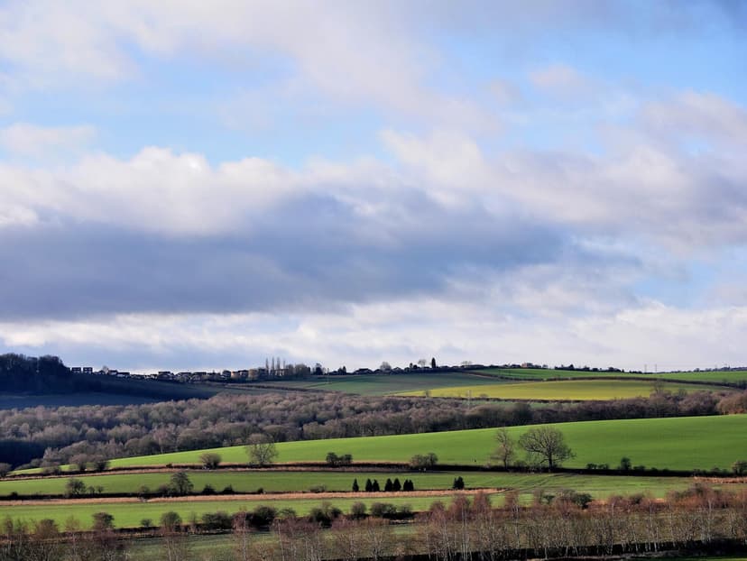 Walk: Darfield Circular