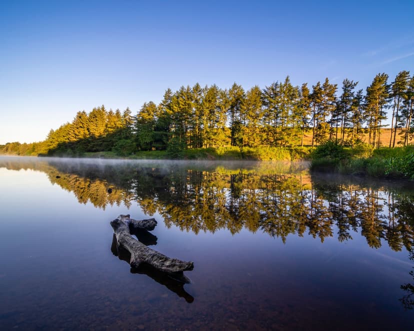 Walk: Cod Beck Reservoir