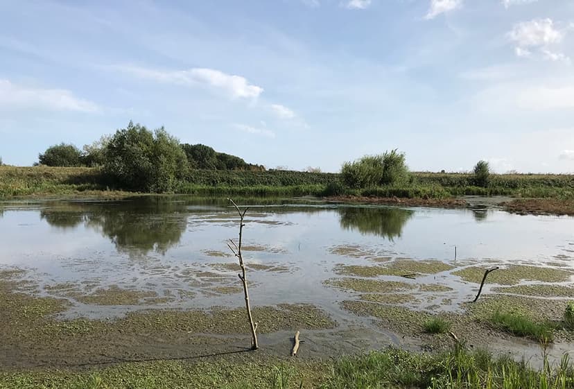 Walk: Tophill Low Nature Reserve